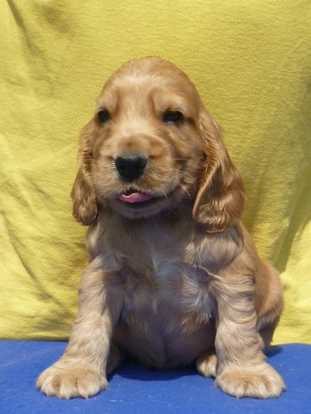 26. Garp pod Ořechem-sv. zelená.JPG